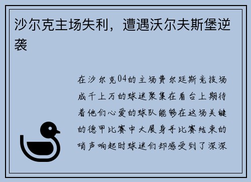 沙尔克主场失利，遭遇沃尔夫斯堡逆袭